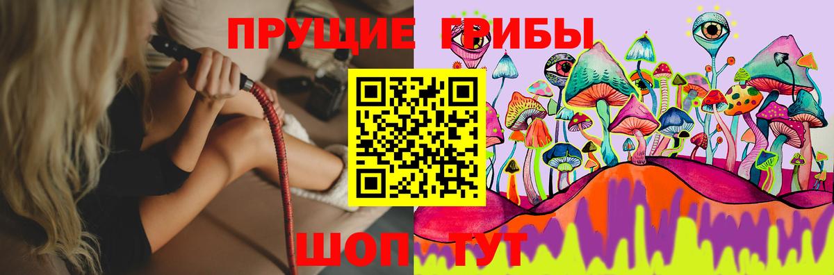 Псилоцибиновые грибы GOLDEN TEACHER Тверь